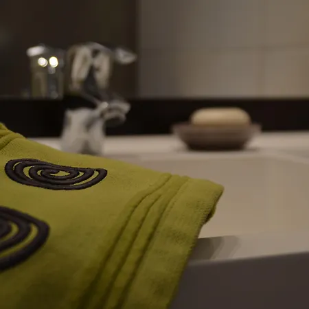 Appart' Du Trident Aparthotel Mulhouse