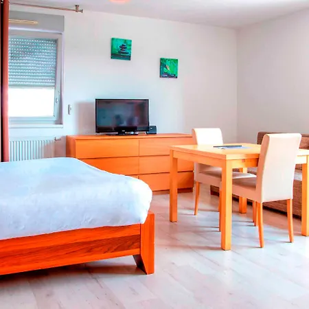 Appart' Du Trident 4* Mulhouse