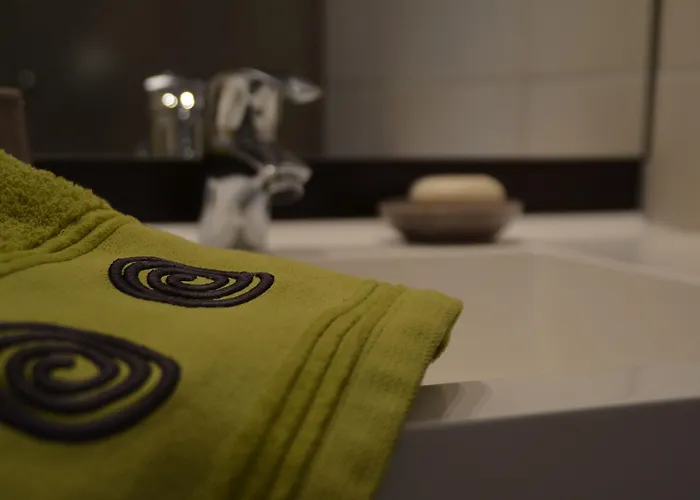 Le Trident Appart hôtel Mulhouse