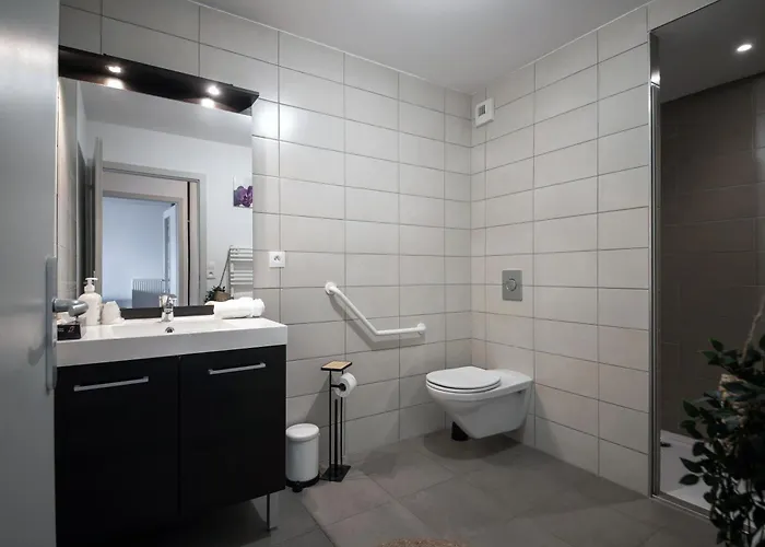 Appart' Du Trident 4* Μυλούζη